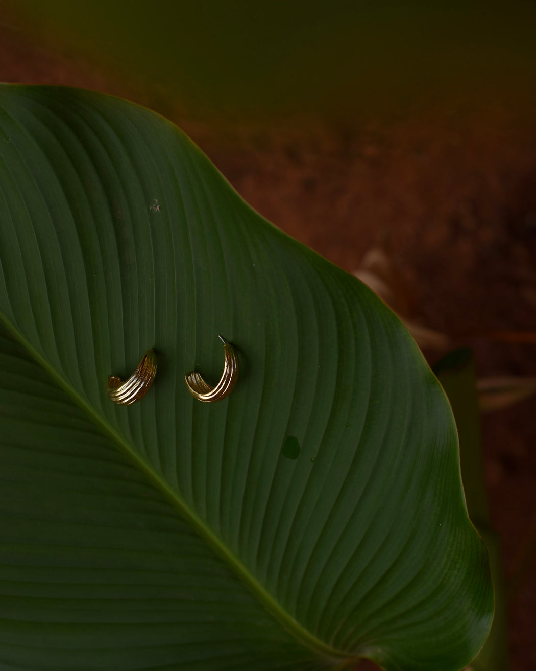 Kira Petal Earrings